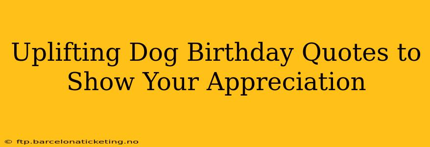 Uplifting Dog Birthday Quotes to Show Your Appreciation