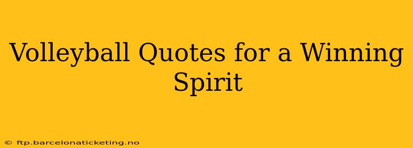 Volleyball Quotes for a Winning Spirit