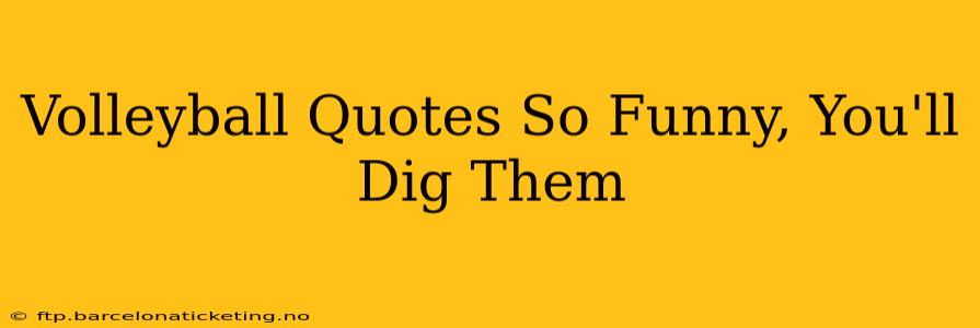 Volleyball Quotes So Funny, You'll Dig Them