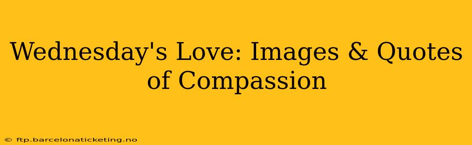 Wednesday's Love: Images & Quotes of Compassion