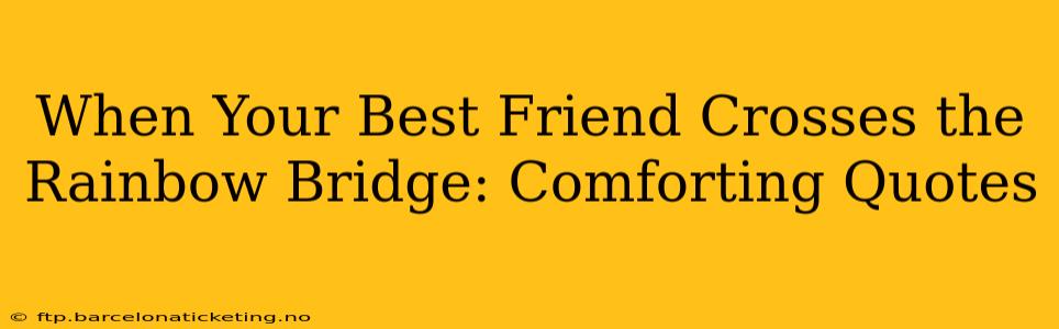 When Your Best Friend Crosses the Rainbow Bridge: Comforting Quotes