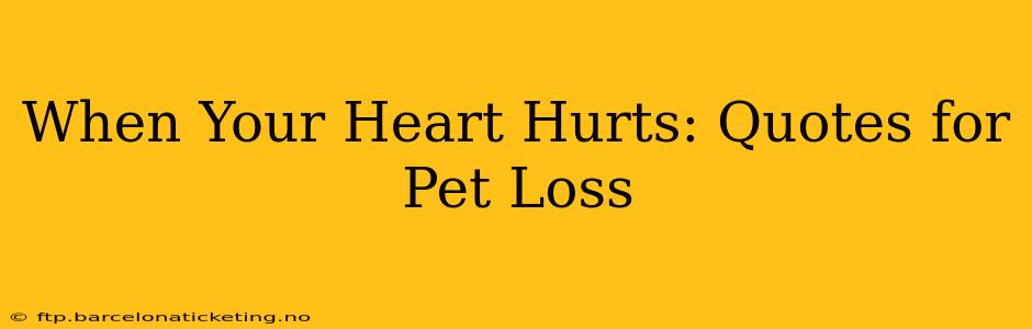 When Your Heart Hurts: Quotes for Pet Loss
