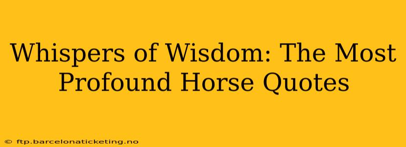 Whispers of Wisdom: The Most Profound Horse Quotes