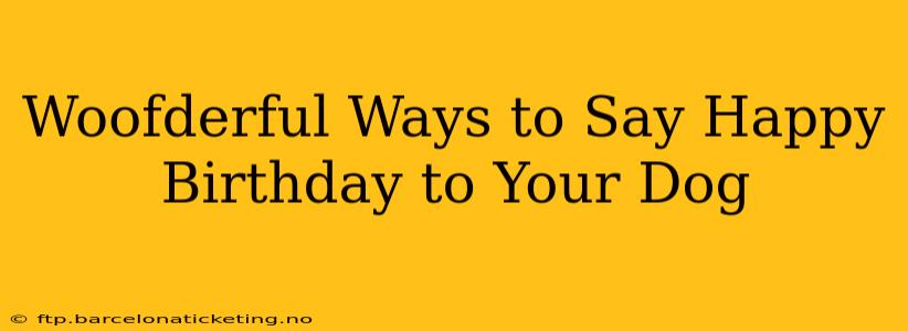 Woofderful Ways to Say Happy Birthday to Your Dog