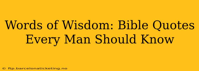 Words of Wisdom: Bible Quotes Every Man Should Know