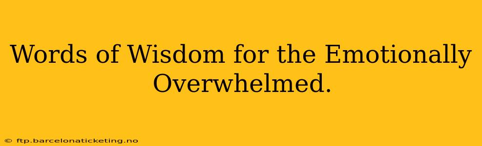 Words of Wisdom for the Emotionally Overwhelmed.