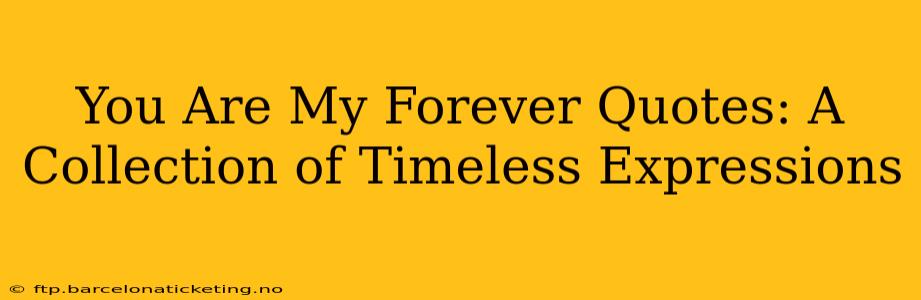 You Are My Forever Quotes: A Collection of Timeless Expressions