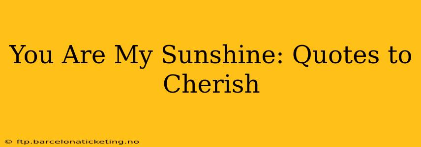 You Are My Sunshine: Quotes to Cherish
