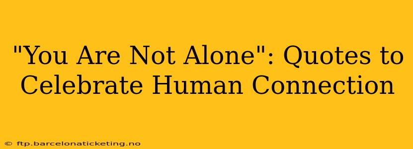 "You Are Not Alone": Quotes to Celebrate Human Connection